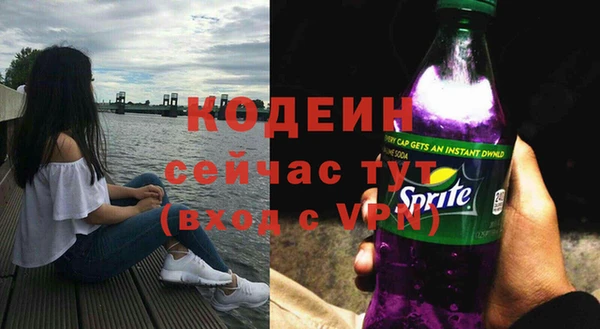 сатива Пересвет