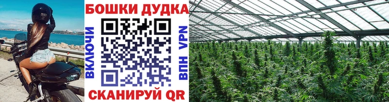 Бошки Шишки индика  Большой Камень 
